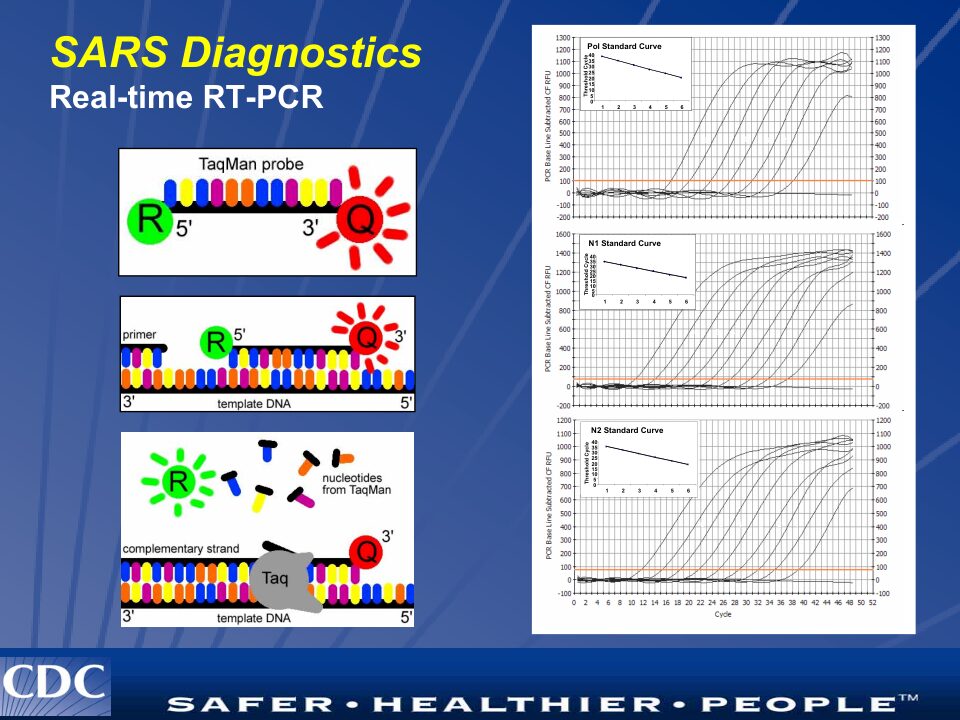의학 강의 슬라이드: SARS 진단 Real-time RT-PCR